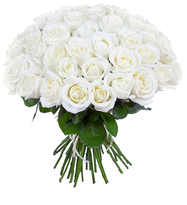 Букет из белых роз (9,15,25,35,51,75 или 101) – фото № 1