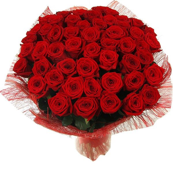 Букет из 51 красной розы Ред Наоми (80см) UK BR127 UNI – фото № 2
