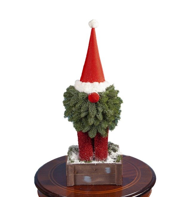 Composition Christmas Gnome – photo #5