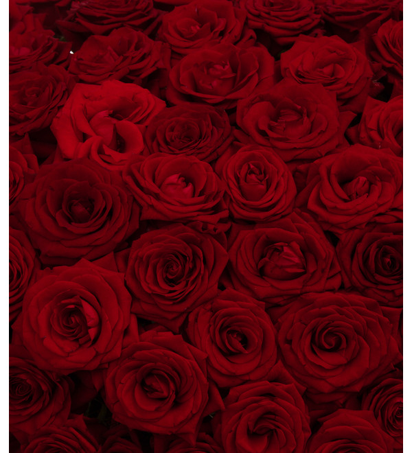 Композиция Бал роз (301 роза) – фото № 2