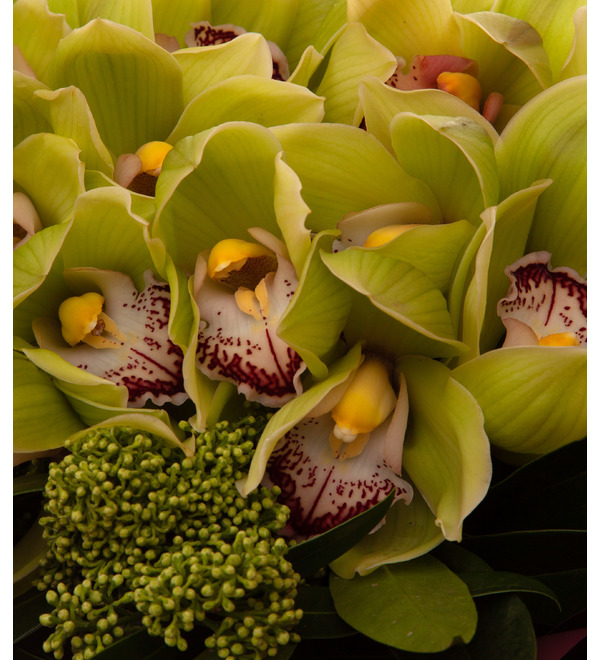 Bouquet-solo of green orchids (15,25,35,51,75 or 101) – photo #3