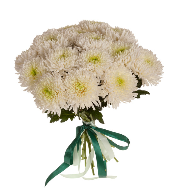 Bouquet-solo chrysanthemums Magnum (5,7,9,15,25,35 or 51) – photo #5