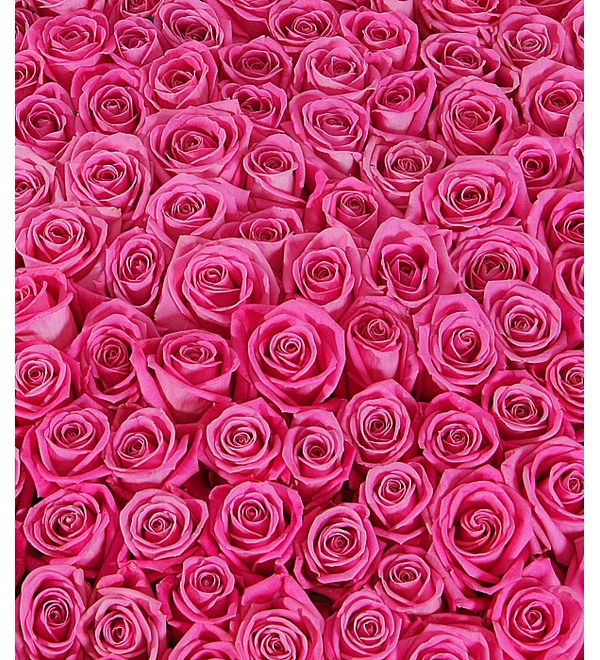 Композиция из 501 розовой розы Самой любимой AR639 DIE – фото № 5