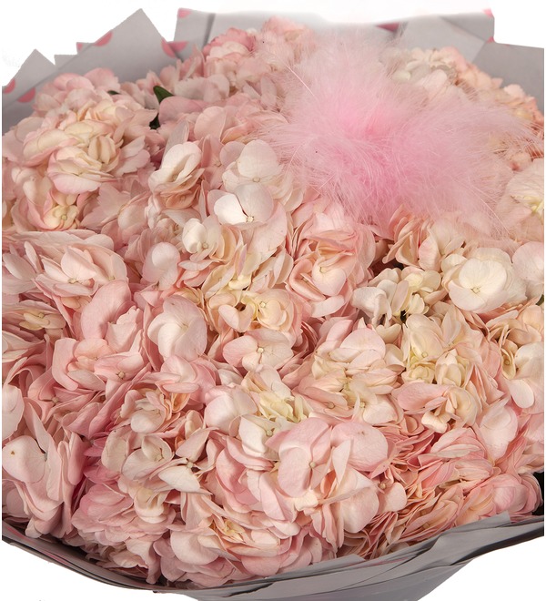 Bouquet-solo Pink hydrangeas (5,7,9 or 15) – photo #3