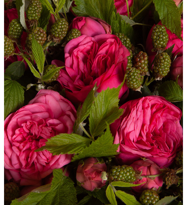 Букет-соло пионовидных роз Pink Piano (15,25,35,51,75 или 101) – фото № 3