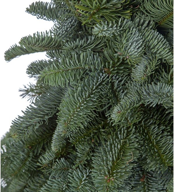 Christmas tree Decorate the whole family! (35, 70, 110, 150 cm) – photo #2