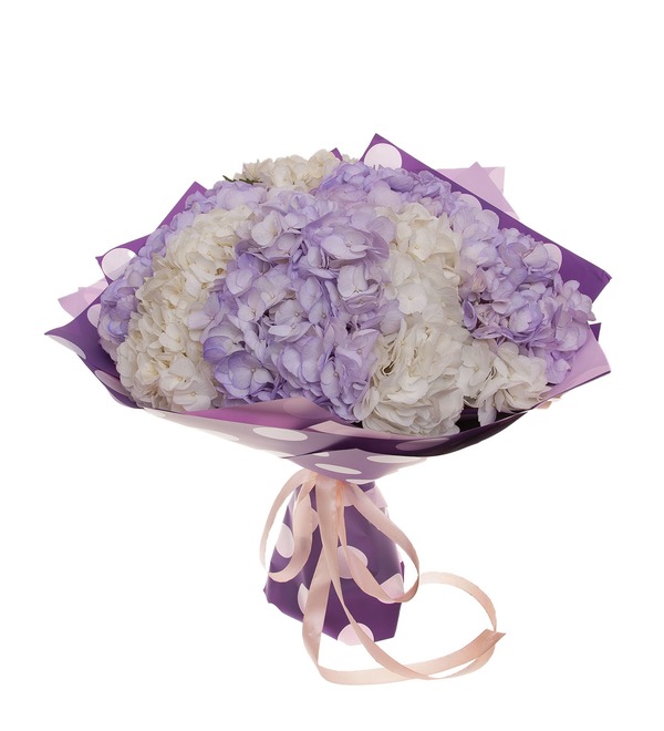 Bouquet-duet of hydrangeas Melody of two hearts (7,9,15,25 or 35) – photo #5