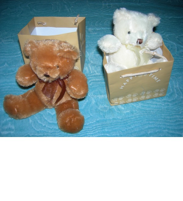 Teddy bear (small) TBS 2 CAN – photo #1