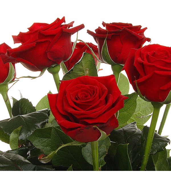 Букет из 11 красных роз Флирт с мечтой RU R11R SAN – фото № 4