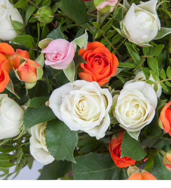 Bouquet of bush roses Transfiguration BR2437 PAN – photo #3