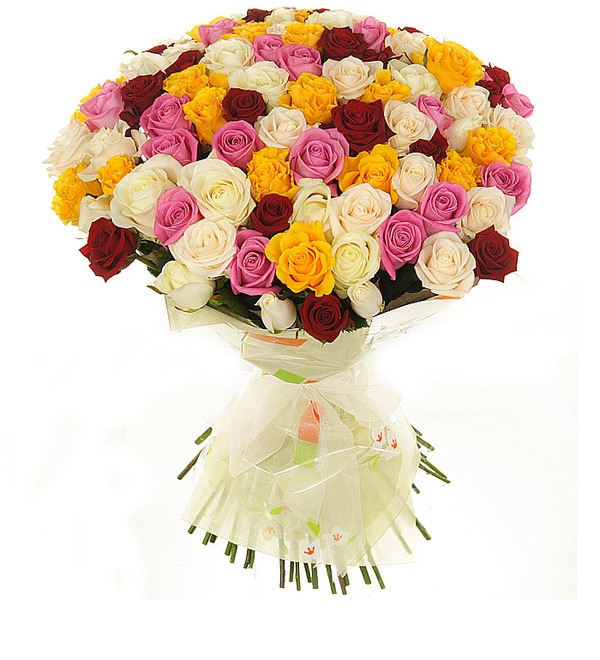 Bouquet of 101 Mixed Rose Primma Donna BG BR104 BUL – photo #4
