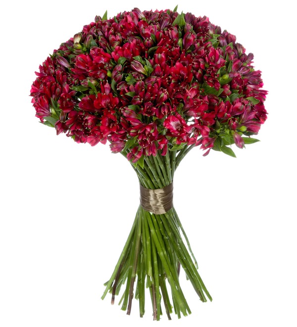 Bouquet Ruby (25, 51 or 101 alstroemeria) – photo #3