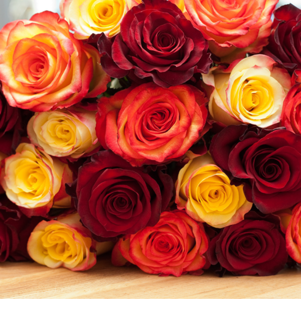 Букет Freude из красных роз и желтых двухцветных роз, 40 см 11/15/21 роз FR5 LEN – фото № 2