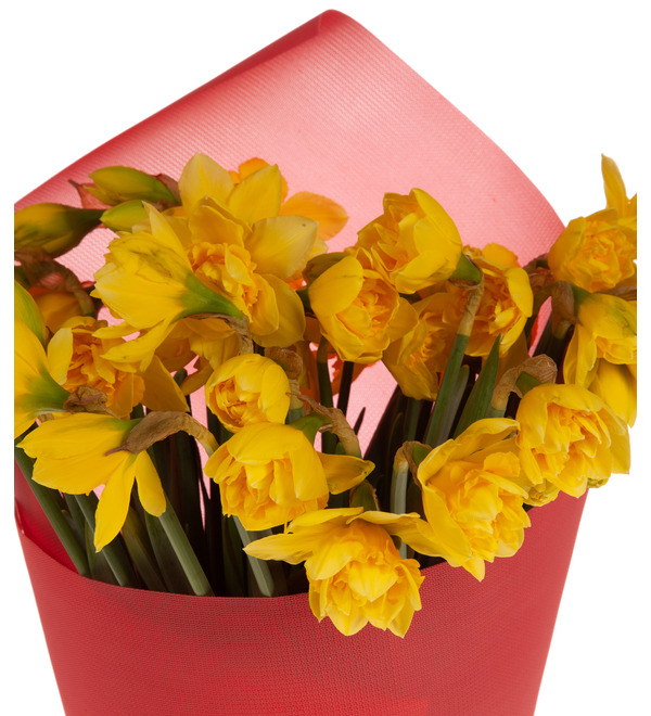 Bouquet-solo of daffodils (15,25,35,51,75 or 101) – photo #3