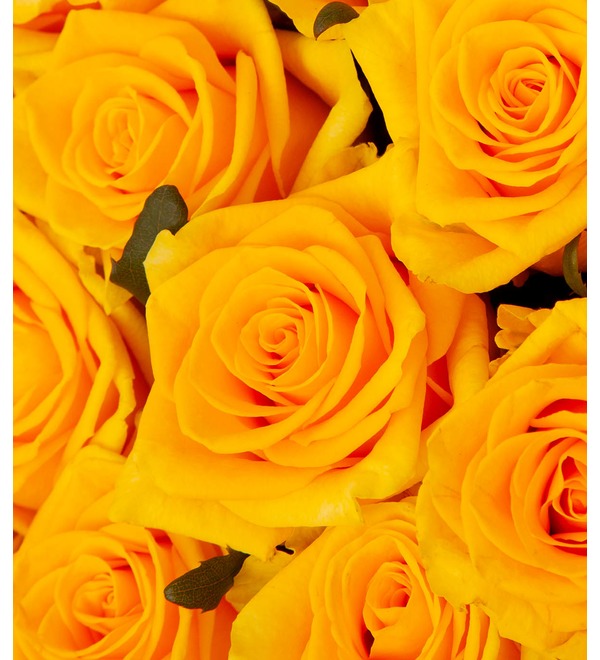 Букет-соло жёлтых роз (15,25,35,51,75 или 101) – фото № 3