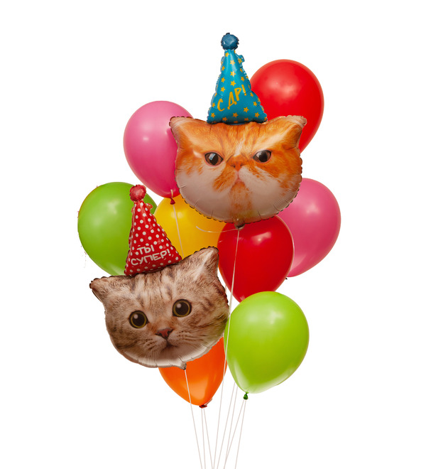 Bouquet of balloons Happy Birthday! (Funny cats) – photo #1