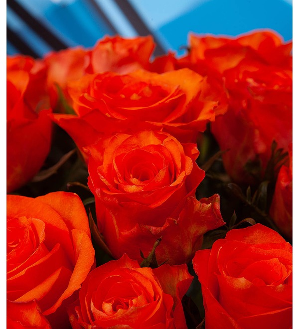 Bouquet-solo of orange roses (25,51,75 or 101) – photo #2