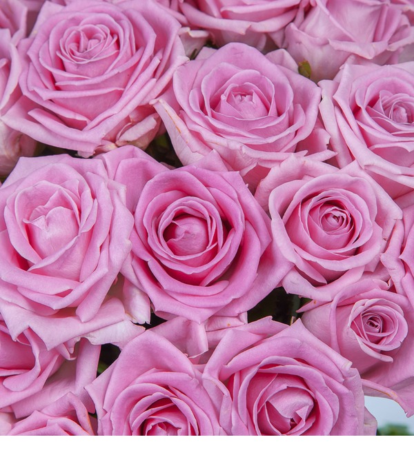Букет роз Мечта (25, 51 или 75) MN102 SAN – фото № 3