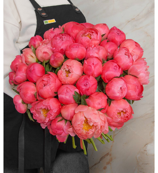 Bouquet-solo of peonies Coral Sunset (15, 29 or 51 peonies) BC3621 GER – photo #1