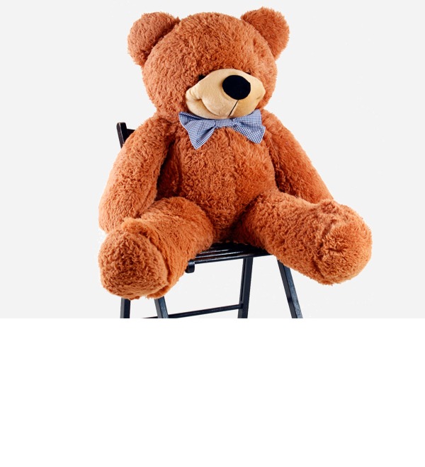 Soft toy bear Teddy XXL M5 KAZ – photo #1