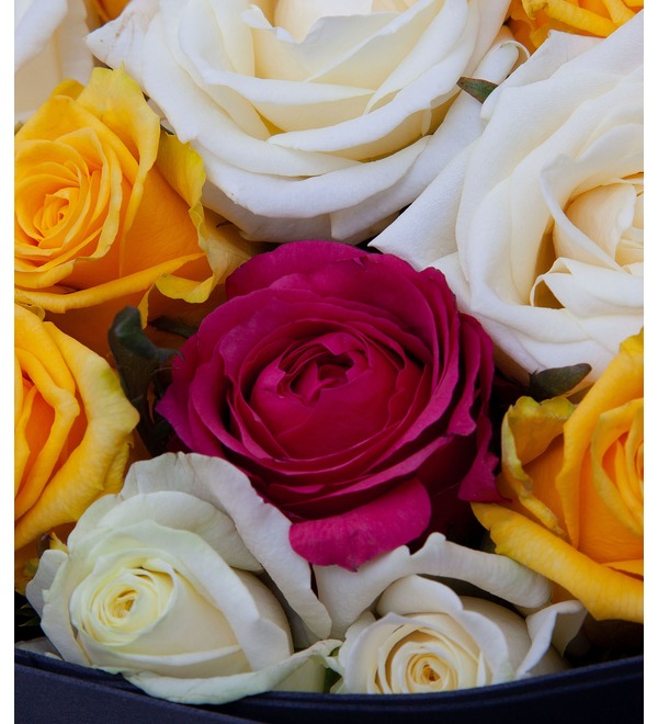 Букет-трио Балет роз (15,25,35,51,75 или 101) – фото № 2