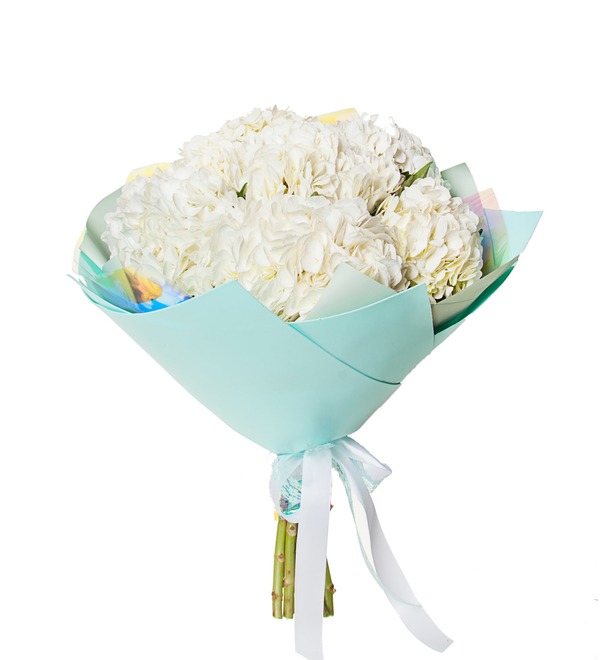 Bouquet of white hydrangea (5, 7 or 9) – photo #4