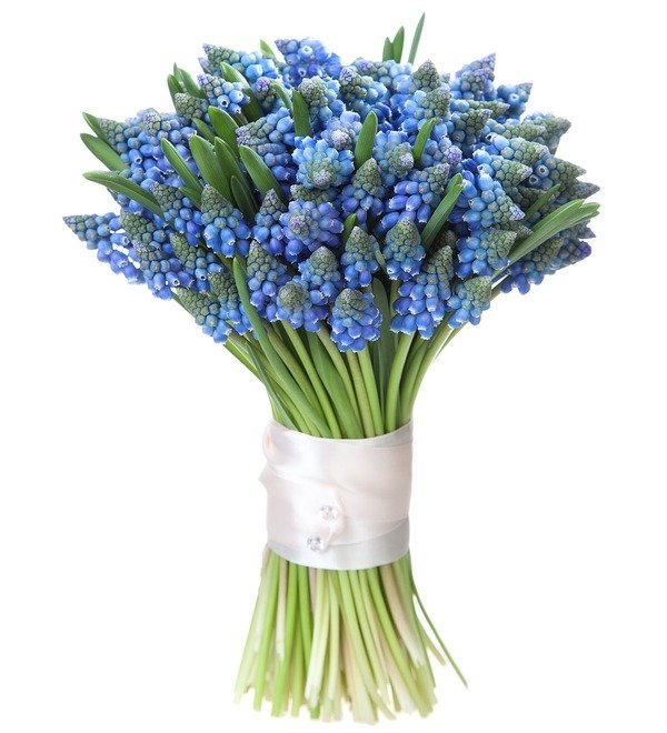 Bouquet of Muscari Spring Meadow – photo #2
