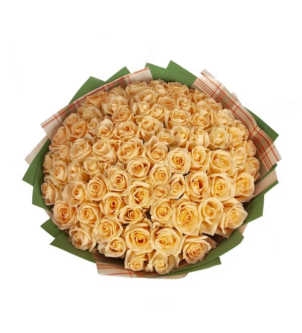 Букет-соло Кремовые розы (15,25,35,51,75 или 101) – фото № 3