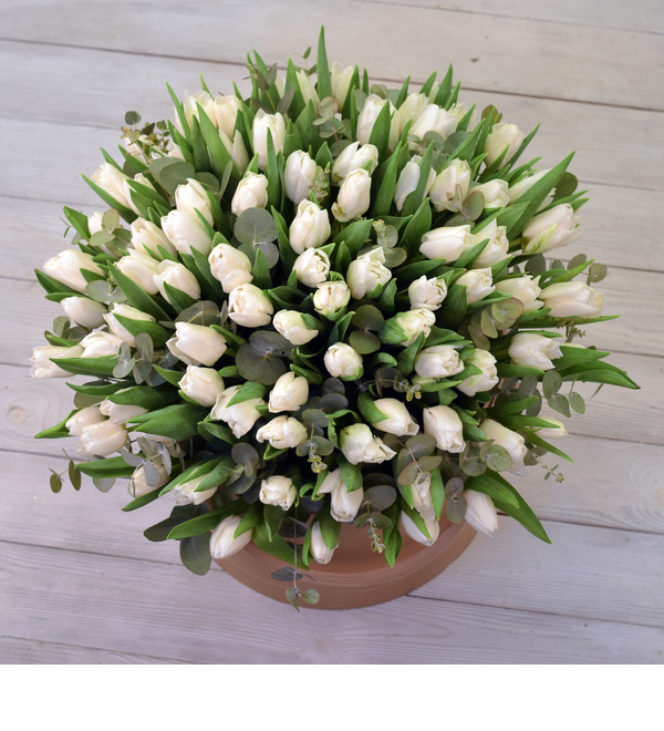 Composition March LFL765 KRA – photo #2