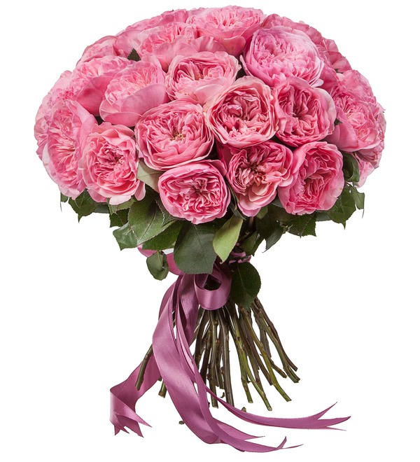 Букет-соло пионовидных роз Maria Theresia (15,25,35,51,75 или 101) – фото № 2