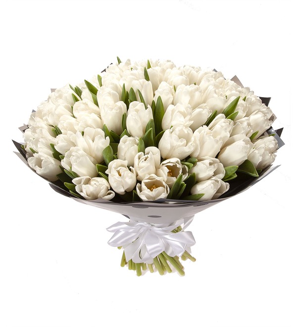 Букет-соло Белые тюльпаны (25,35,51,75,101 или 151) – фото № 5