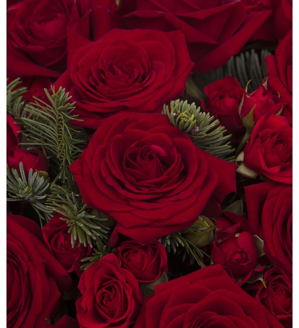 Букет-дуэт роз Мелодия сердца (15,25,35,51,75 или 101) – фото № 2