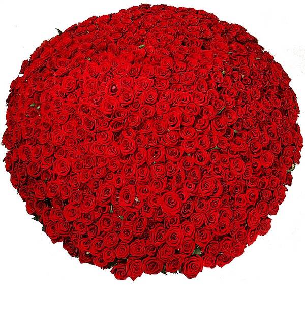 Композиция из 501 розы Гран При Любовь всегда права! AR633 VOL – фото № 3