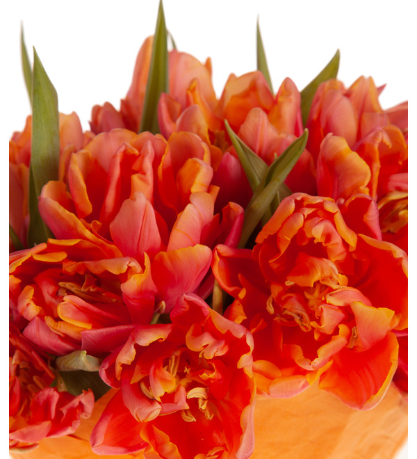 Bouquet-solo peony tulips Pissarro (15,25,35,51,75 or 101) – photo #2