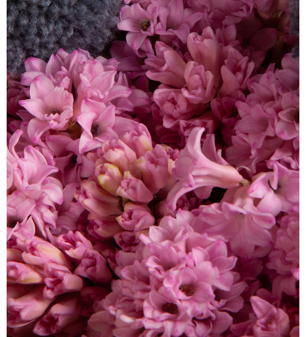 Букет-соло розовых гиацинтов (15,25,35,51,75 или 101) – фото № 2