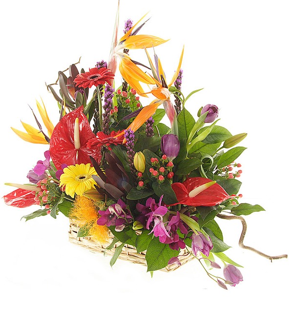 Flower arrangement BB AE812 PRA – photo #3