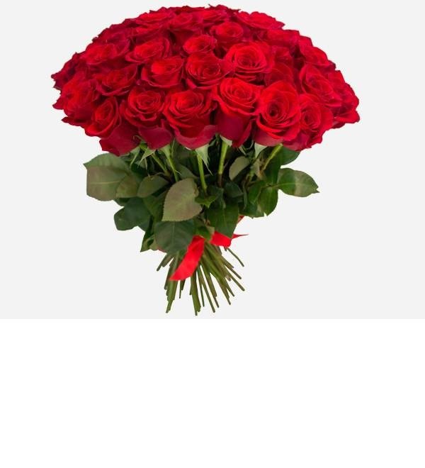 Букет из 51 красной розы высотой 80 см. KZRK51 KAP – фото № 1