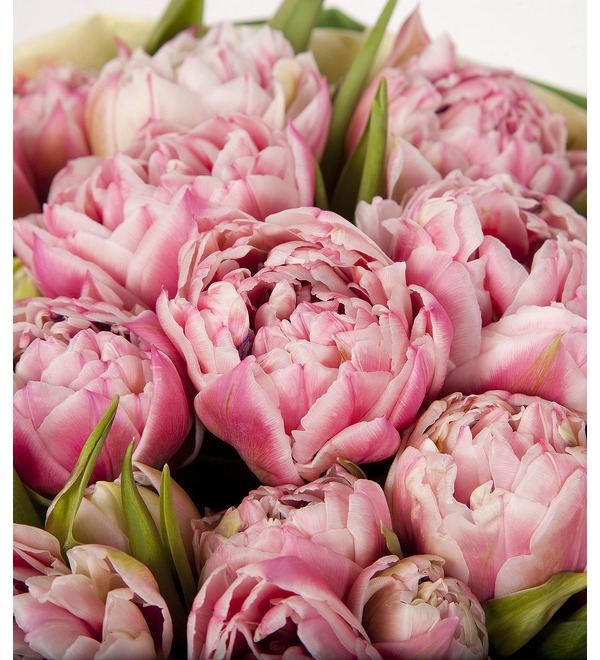 Букет-соло пионовидных тюльпанов Love You (15,25 или 35) – фото № 2