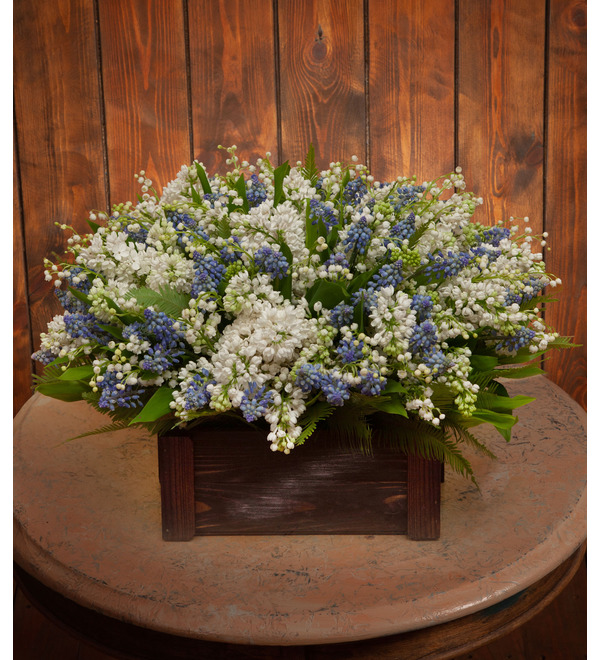 Composition Modesty of spring – photo #1