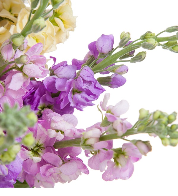 Букет Matthiola MN9 LEI – фото № 3