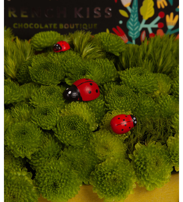 Gift box Ladybugs – photo #2