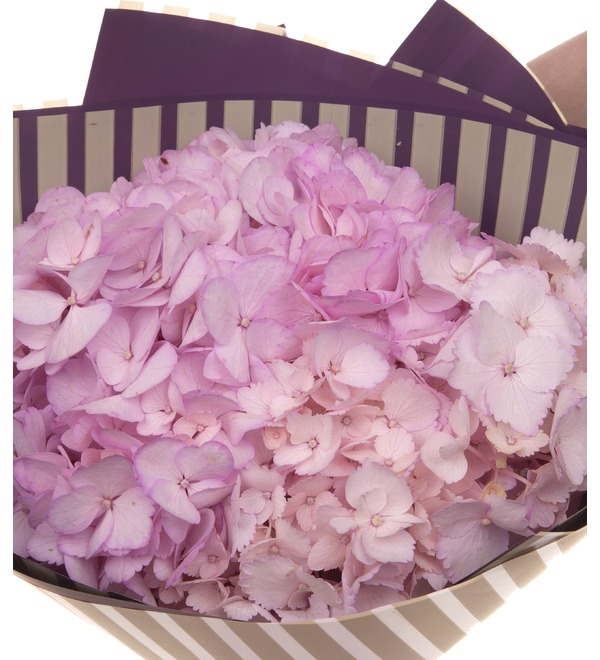 Букет-соло розовых гортензий (5,7,9,15,21,25 или 35) – фото № 3