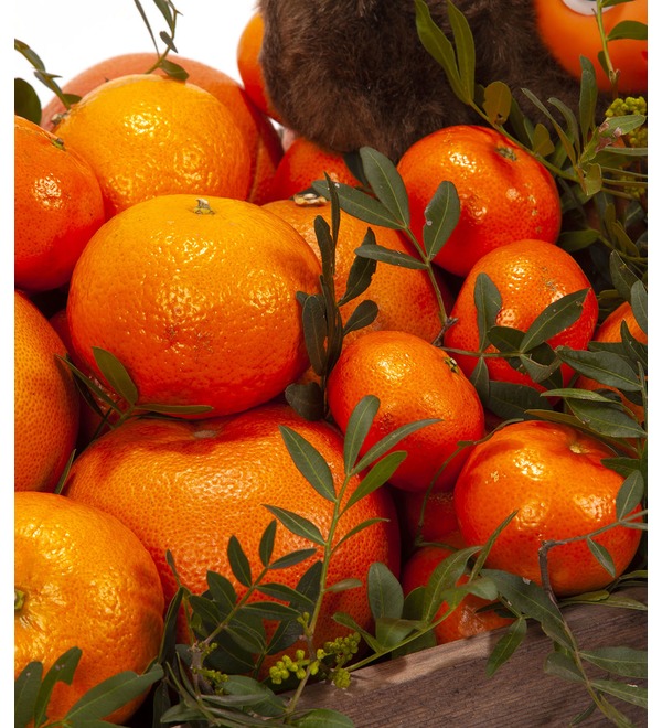 Gift pot Package with oranges – photo #2