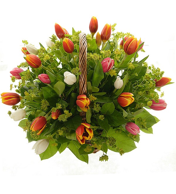 Композиция из 25 тюльпанов Самой восхитительной UA AT700 ROG – фото № 2