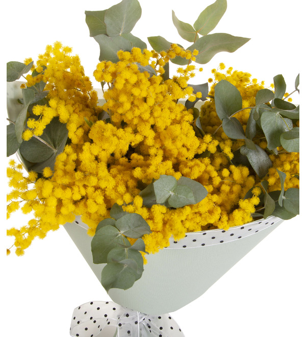 Букет-соло мимозы (5,7,9,15 или 25) – фото № 2