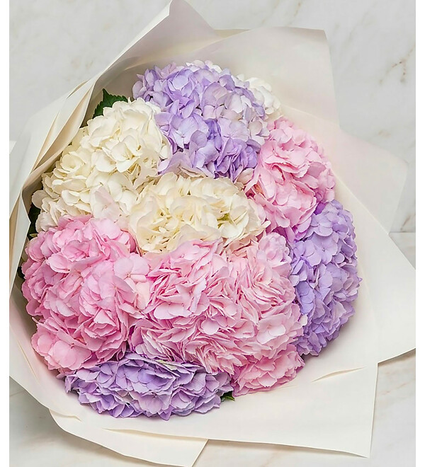 Bouquet-trio of hydrangeas Guitar strings (7,9,15,25,35 or 51) – photo #2