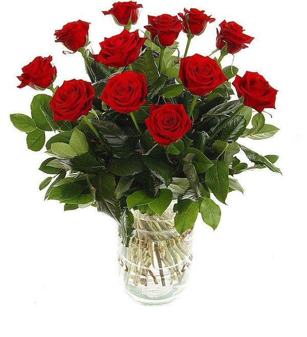12 red roses (no vase) 12 Roses VE CAR – photo #1