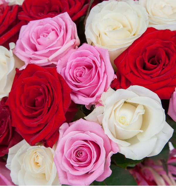 Букет роз Ягодное лето (15,25,35,51,75,101 или 151) – фото № 3