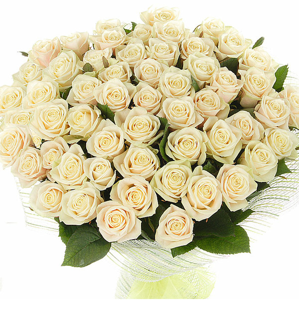 Букет из 51 кремовой розы Гармония в любви AT BR102 HAU – фото № 2