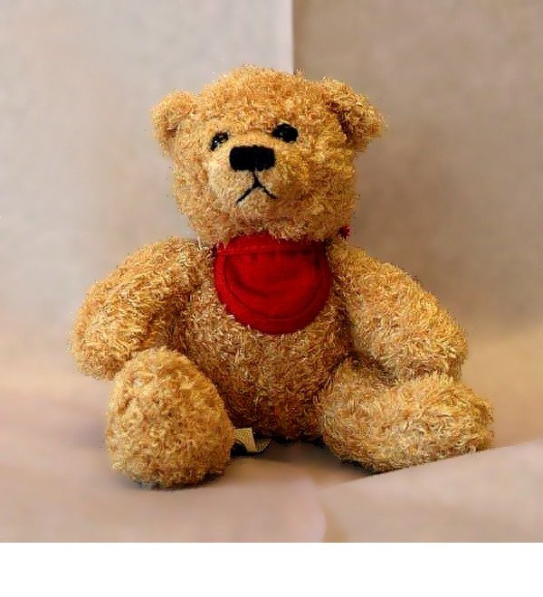 Teddy-bear (small) DE TBS BER – photo #1